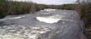 View of Crowe River from Crowe Bridge during high water flow.
