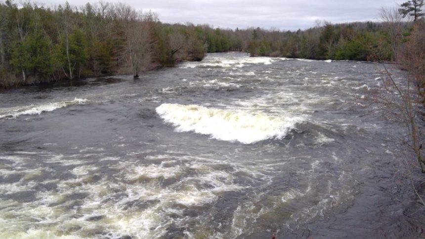 View of Crowe River from Crowe Bridge during high water flow.