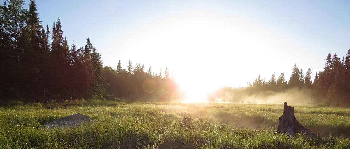 Permalink to: Wetland Sunrise