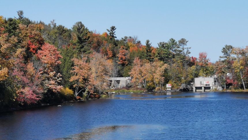 Photo taken on Hwy 7 - Marmora Dam/Crowe River 2022