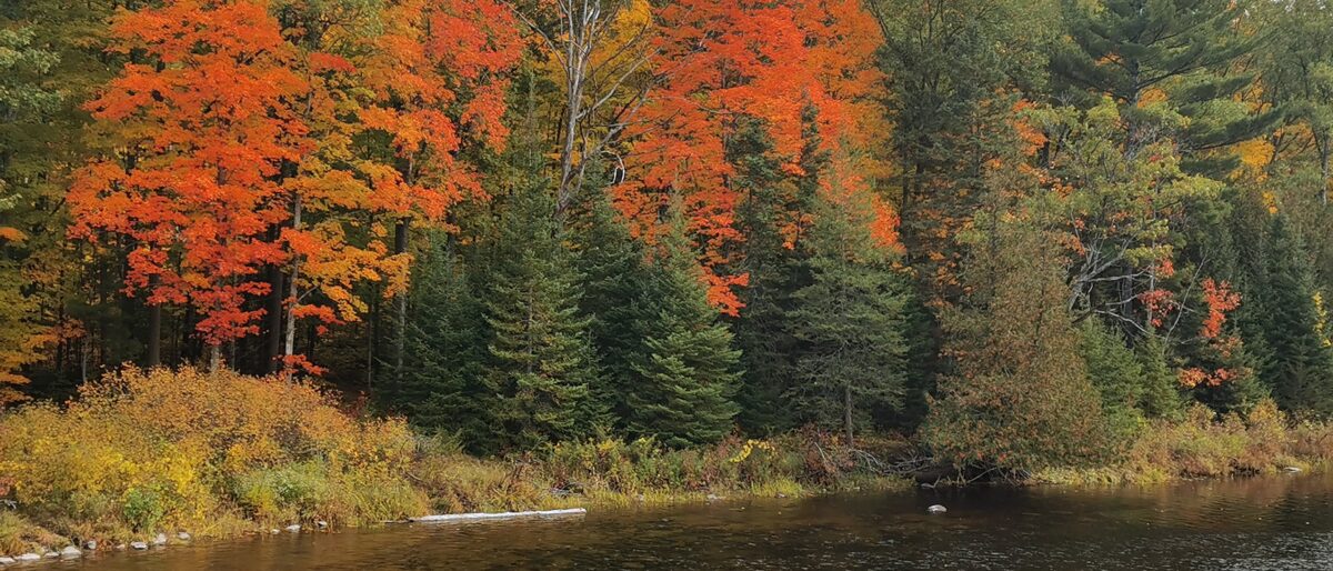 Permalink to: Callaghans Rapids